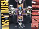 Appetite for Destruction by Guns N' Roses (Record 2008)