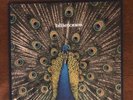 The Bluetones Expecting To Fly 1996 Original UK 12