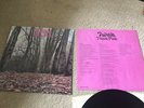 Twink. Think Pink. vinyl lp 1970. original press 2343-032. Read Description