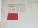 Suicide (Band) – 21½ Minutes In Berlin / 23 Minutes In Brussels 1978 Rare