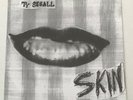 TY SEGALL - Skin 7” 45 rpm 2008 Goodbye Boozy LTD ED