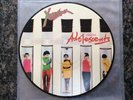 Rare Punk Vinyl 12” LP X-ray Spex Germfree Adolescents Picture Disc Pistols