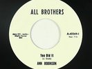 Funk 45 - Ann Robinson/Freedom Now Brothers - You Did It - All Bros reissue VG++