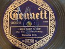 Gennett 20062 Wolverines (BIX BIEDERBECKE) Royal Garden Blues  78rpm Jazz 1924