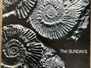 The Sundays, Reading, Writing And Arithmetic LP, Rare 1st Press, VG+/VG+,A1/B1.