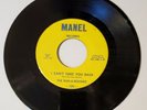 The Run A Rounds-Can't Take You Back/Couldn't Care Less-Rare Michigan Garage 45