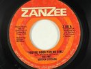 Crossover Soul 45 - Big Jim's Border Crossing - You're Good For Me - Zanzee mp3