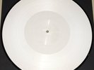 ALICE IN CHAINS The Devil Put Dinosaurs Here DISC 2 PICTURE DISC TEST PRESSING