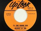 Northern Soul Funk 45 - Delegates Of Soul - I'll Come Running - Up-Look 2005 mp3