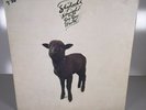 Skyhooks – Straight In A Gay Gay World 1976 vinyl