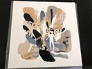 Vinyl Moon Volume 002: Familiar Mystery LP Mint- 366/600 with Postcards 