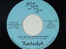 Modern Soul Boogie 45 - Fantastyk - Tell Me All Your Fantasies - Afrilogic - NM