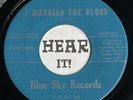 FL Cashalike Rockabilly Country Bop 45 FRED BOYD Married The Blues BLUE SKY mp3