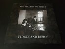 the Sisters Of Mercy - floodland demos - lp- test pressing