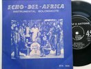Echo-Del-Africa – Instrumental Echo - Manding Afrobeat Upper VOLTA Burkina Faso