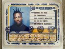 OL' DIRTY BASTARD Return To The 36 Chambers LP Dirty Version Wu-Tang Clan Vinyl