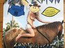 Dope Lemon ?– Smooth Big Cat Picture Disc Vinyl LP NEW/SEALED