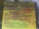 Alice Cooper | School's Out | Vinyl LP | Warner Bros | K 56007 1972
