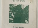 Secret Shine After Years 7” Single 1991 Sarah Records UK
