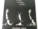 Young Marble Giants - Colossal Youth - Vinyl LP UK 1st Press Rough Trade
