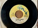 Bass Rap 45 - 2 Live Crew - Get it Girl - Luke Skyywalker LS-100 - VG+