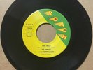 The Rappers 1973 SWEET SOUL FUNK 45 I've Tried Krunchberry Beast ROACH MINT HEAR