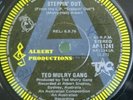 Ted Mulry Gang Steppin Out Promo Original Australia pressing 45 single