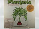 Mort Garson - Mother Earth's Plantasia Vinyl Record Original Pressing With Book