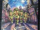 Teenage Mutant Ninja Turtles 12