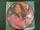 BLACK SABBATH GREATEST HITS PICTURE DISC LP   UK IMPORT