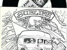 Sublime/Wesley Willis Fiasco 