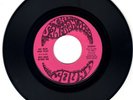 WEST COAST NATURAL GAS – GO RUN AND PLAY / A FAVOR (1967) PSYCH-ROCK (HEAR) 45