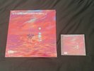 Dave We’re All Alone In This Together Limited Edition Vinyl LP And CD Bundle ?