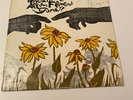 . PETE SEEGER WHERE HAVE ALL THE FLOWERS GONE FOLKWAYS + 1982 PROGRAM AUTOGRAPH