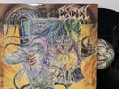 Excel – Split Image LP 1987 Suicidal Records – SLP 1004 VG+/VG