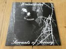 Fimbulwinter - Servants of Sorcery LP hell slaughter records 439/500