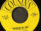 DREAMERS: because of you / little girl COUSINS 7