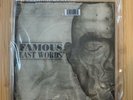 My Chemical Romance - Famous Last Words - 7