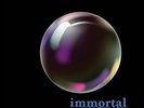 Ann Wilson - Immortal Vinyl