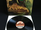 TOAD SAME LP ORIG SWISS 1971 HALLELUJAH EX+ 1ST PRESS PROG ROCK