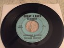 THE BLUES COMPANY Experiment in Color 45 Great Lakes Michigan Psych Garage VG