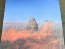 The Maccabees - Given to the Wild 2xLP Vinyl RARE IMPORT POST-PUNK INDIE