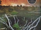 Revenant Prophecies Of A Dying World NEAR MINT Nuclear Blast Vinyl LP