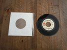 the flying burrito brothers 45 lp promo hot burrito the train song A&M RARE
