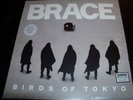 Birds Of Tokyo ‎– Brace – Limited Edition White Coloured Vinyl LP - New