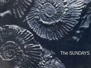 LP The Sundays Reading, Writing And Arithmetic NEAR MINT Rough Trade Germany