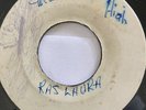Roots RAS LAURA + SONS OF NEGUS Mount Zion High 45 SKA New Land 7