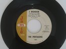 The Pentagons I Wonder / She's Mine JAMIE  VG++