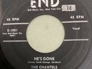 The Chantels-HE'S GONE/THE PLEA-DOO WOP Soul END 1001 45