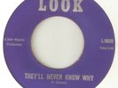 FREDDIE CHAVEZ Theyll Never Know Why LOOK  NORTHERN SOUL 2ND ISSUE  45